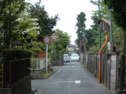 0604230019.JPG