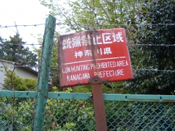 0604230020.JPG