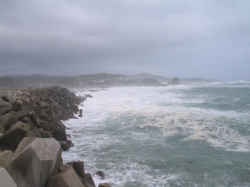 38571_day_left_till_the_typhoon_hits_.jpg