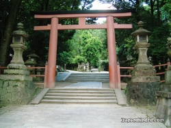Torii_Nara.JPG