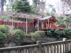 258PICT0192.JPG