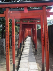 258PICT0195.JPG