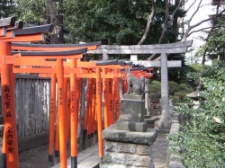 Wooden and stone torii gates, Nezu Jinja, Tokyo
