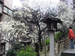 258PICT0205.JPG