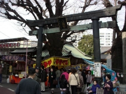 258PICT0208.JPG