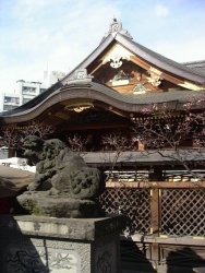 258PICT0226.JPG