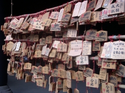 Hundreds of Ema, Yushima Shrine, Tokyo