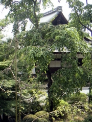 258Tenryuji10.jpg