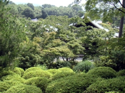 258Tenryuji11.jpg