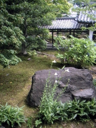 258Tenryuji13.jpg