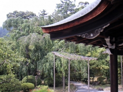 258Tenryuji6.jpg