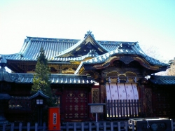 258CA260083.jpg
