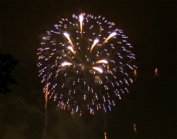 tokyowan-hanabi1.jpg