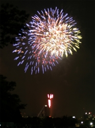 tokyowan-hanabi4.jpg