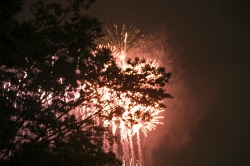 tokyowan-hanabi5.jpg