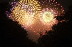 tokyowan-hanabi6.jpg