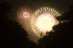 tokyowan-hanabi7.jpg