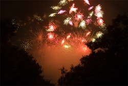 tokyowan-hanabi8.jpg