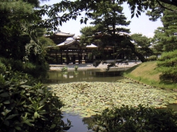 258Byodo-in3.jpg