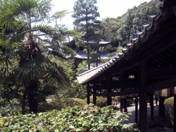 258Mampukuji8.jpg