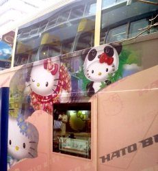 hato-kitty.jpg