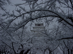 Aizwinter_9_.jpg