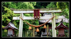 1990Torii_Shingifu.jpg