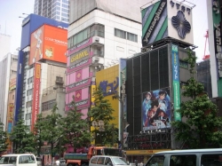 258akihabara3.jpg