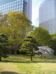 CA260193.jpg