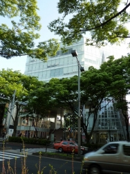 omotesando8.jpg