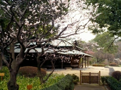 CA260152.jpg