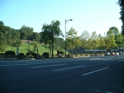 DSCF00511.JPG