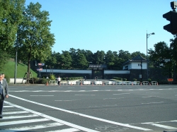 DSCF00531.JPG