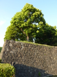 hibiya-3.jpg