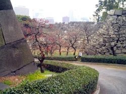 CA260150.jpg
