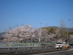 IMG_0602.JPG