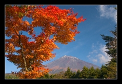 Autumn_colors.jpg