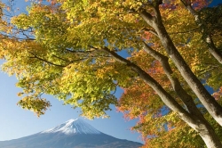 fall_painting.jpg