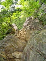 CA260218.jpg