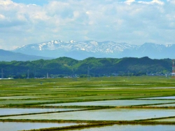 tohoku-2.jpg
