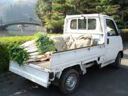 10871DSC01153.JPG