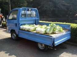 10871DSC01154.JPG
