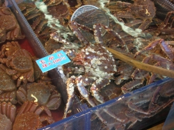 DSCN1829.JPG