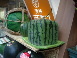 SquareWatermelon.jpg