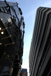 7316Shibuya_9.jpg