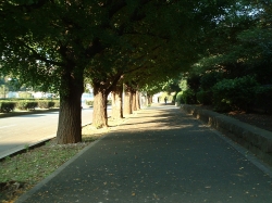 DSCF0047.JPG