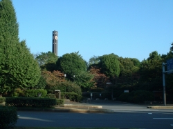 DSCF00491.JPG