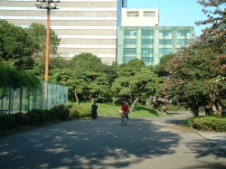 DSCF00671.JPG