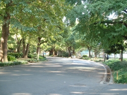 DSCF00691.JPG