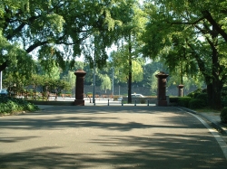 DSCF00701.JPG